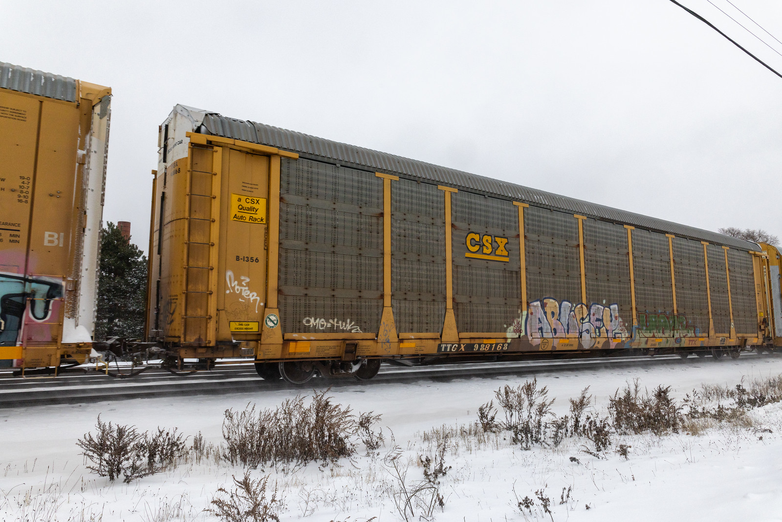 TTGX 988168