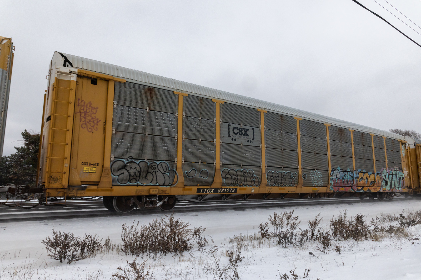 TTGX 981279