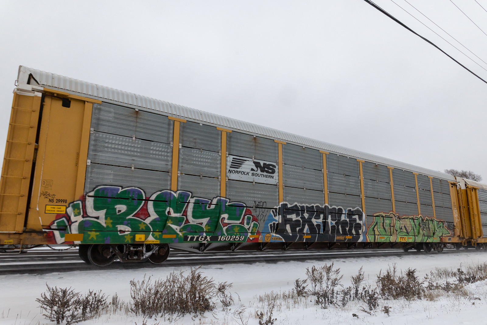 TTGX 160259