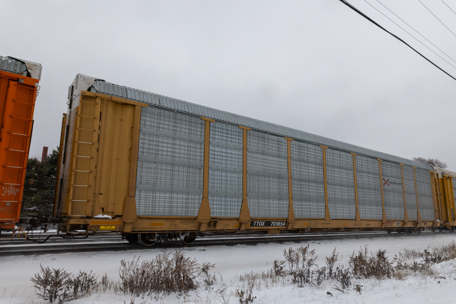 TTGX 701854