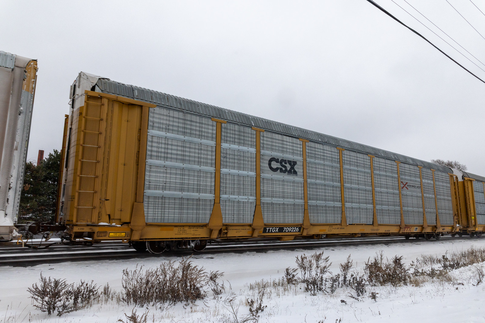 TTGX 709226