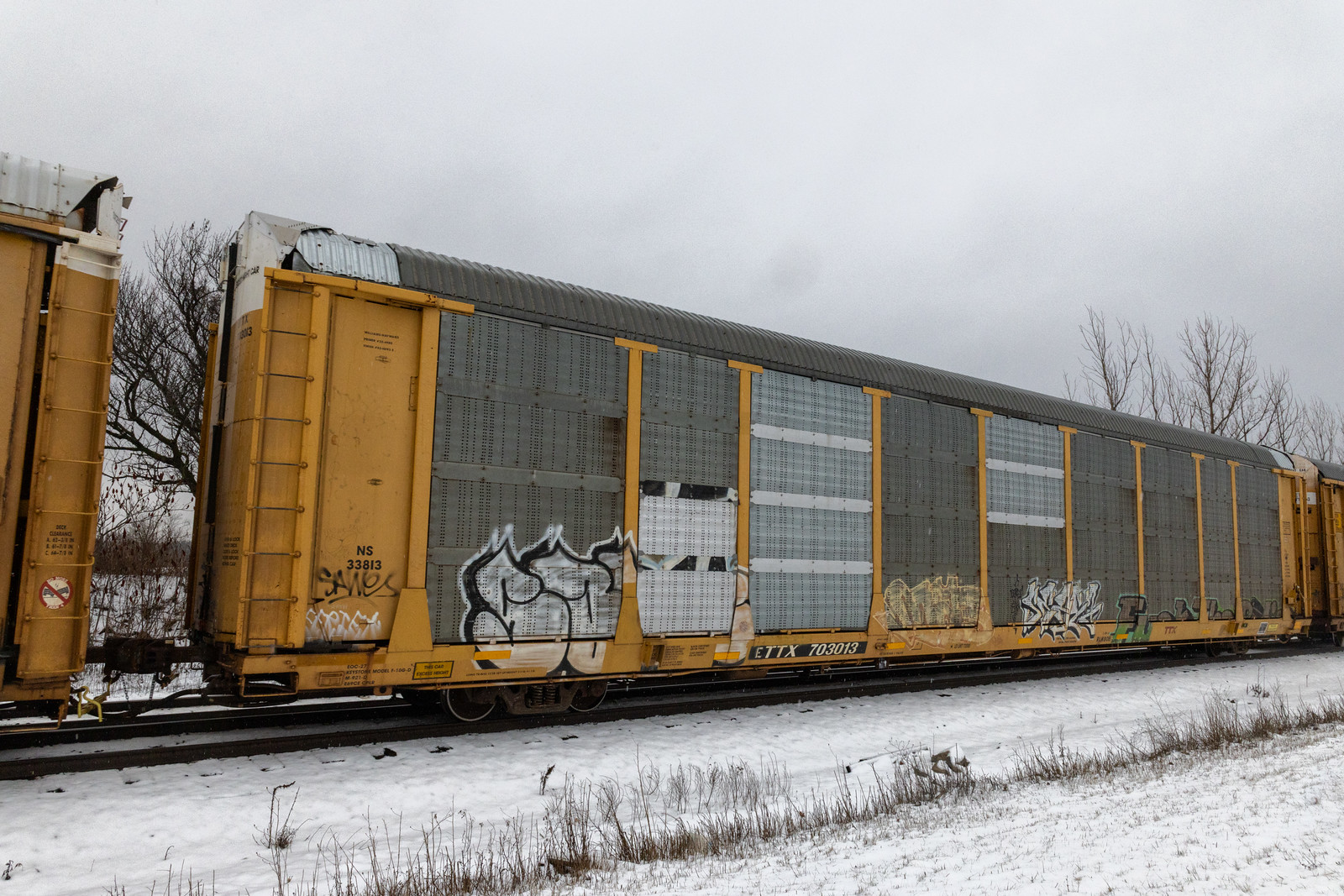 ETTX 703013