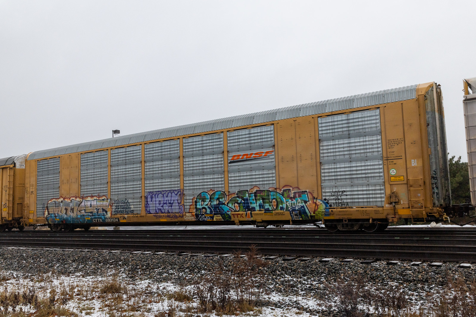 CTTX 693134