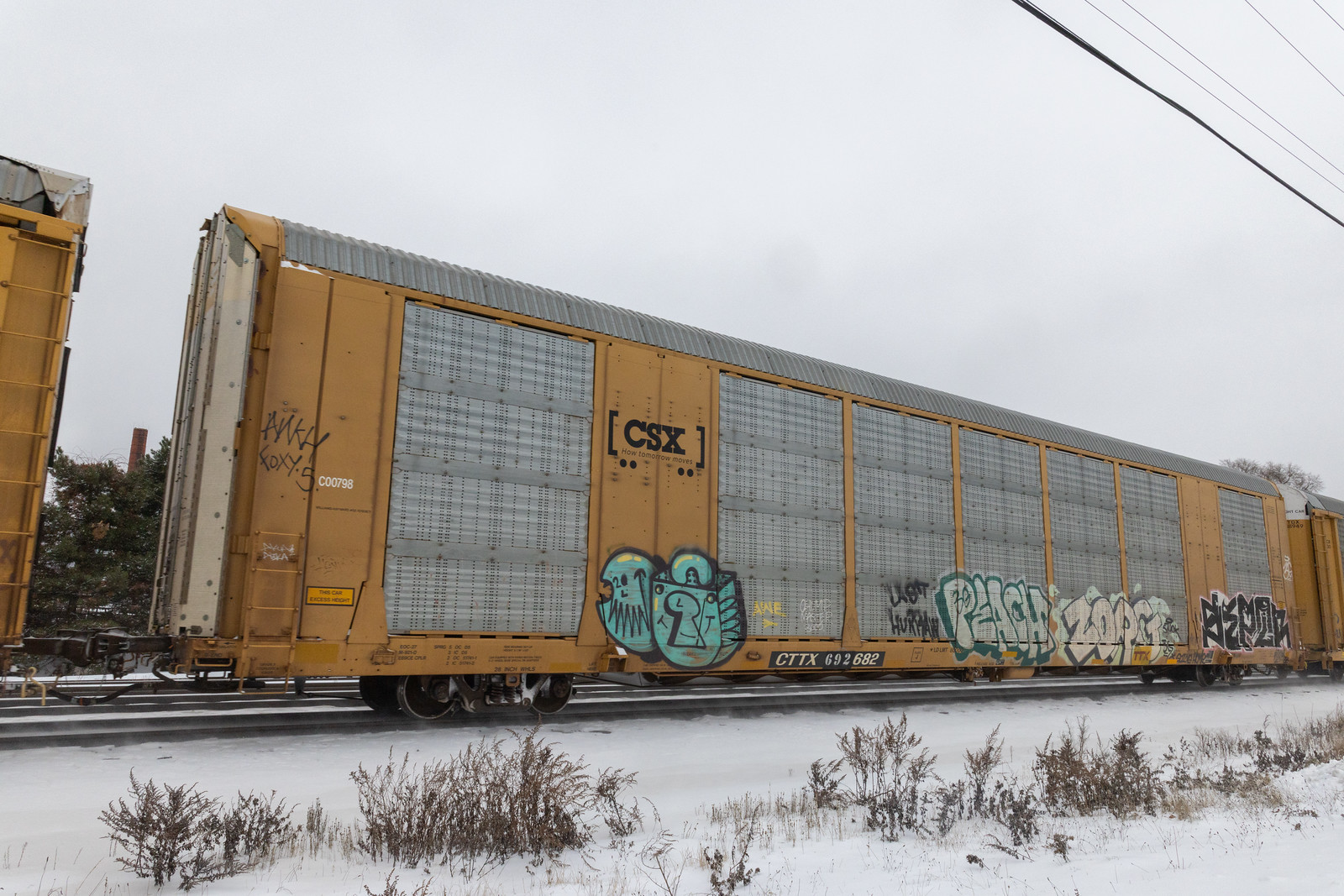 CTTX 692682