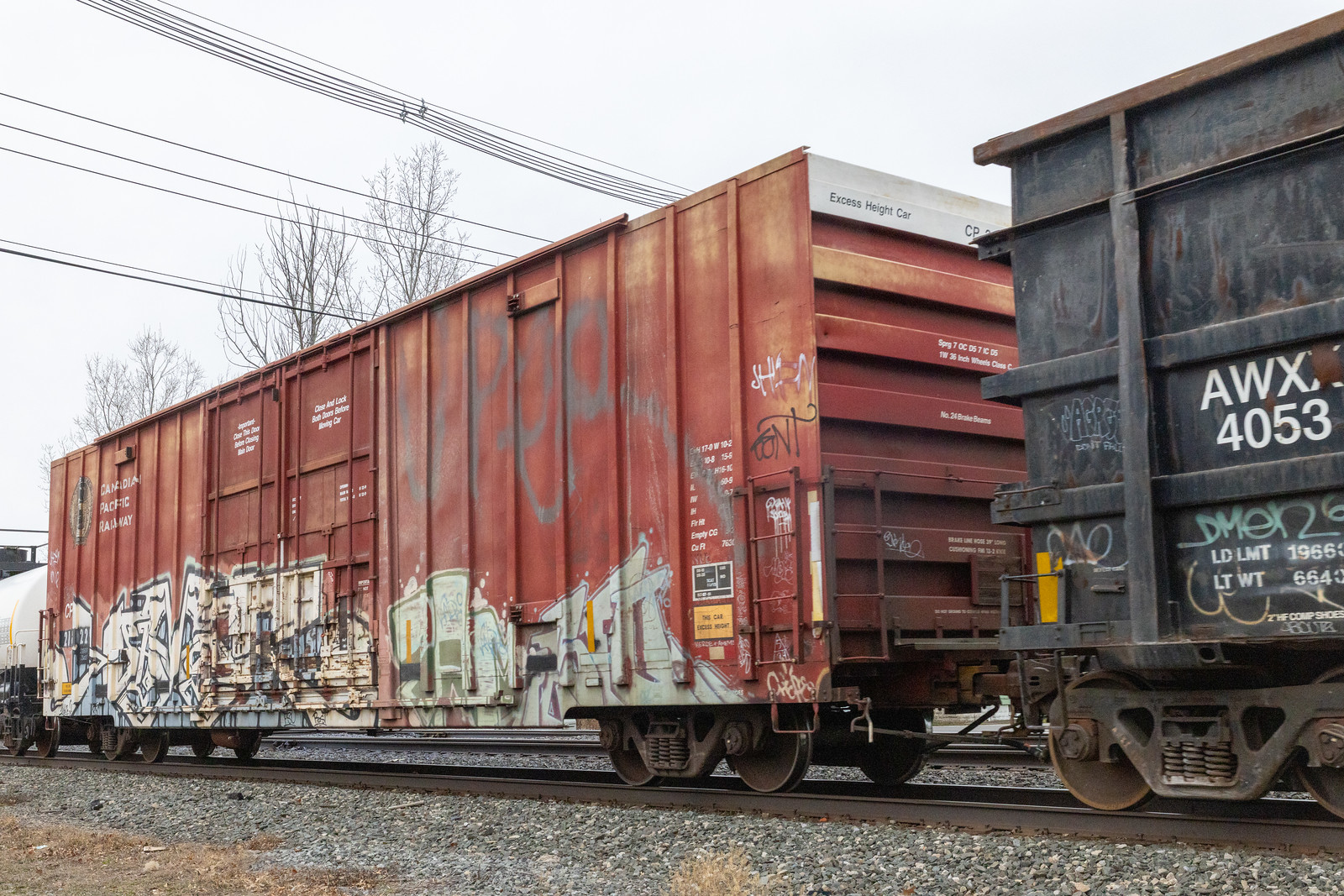 CP 218229