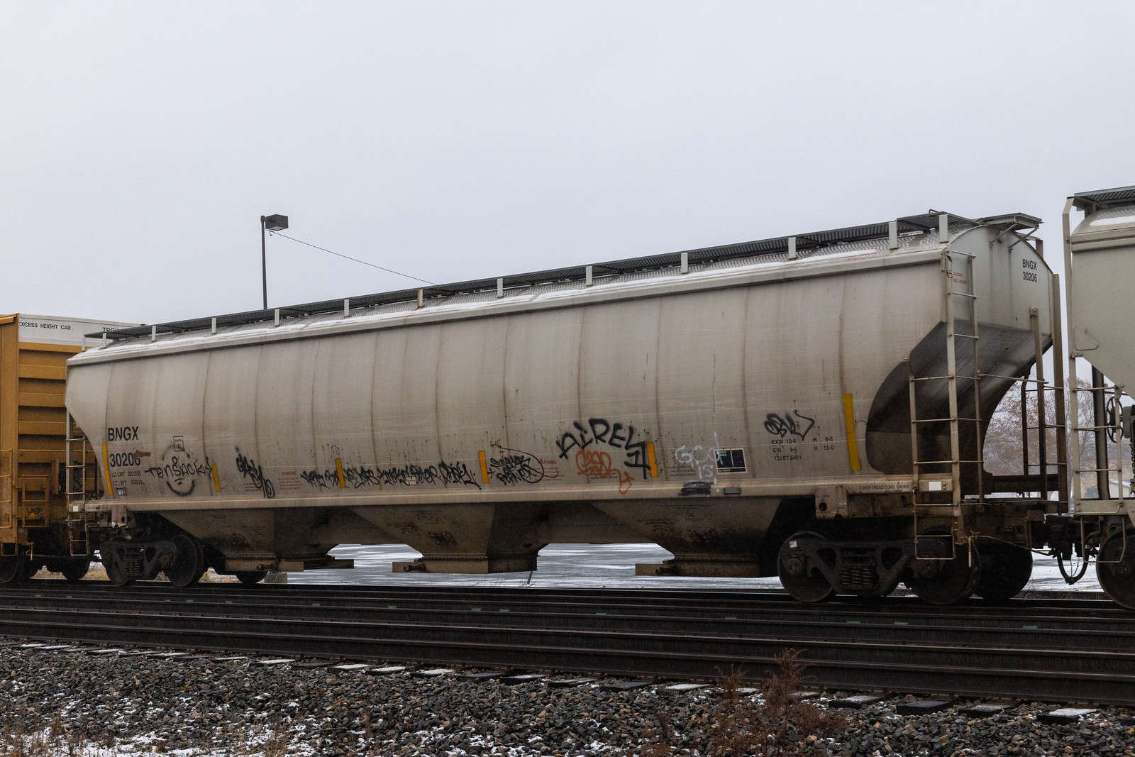 BNGX 30206