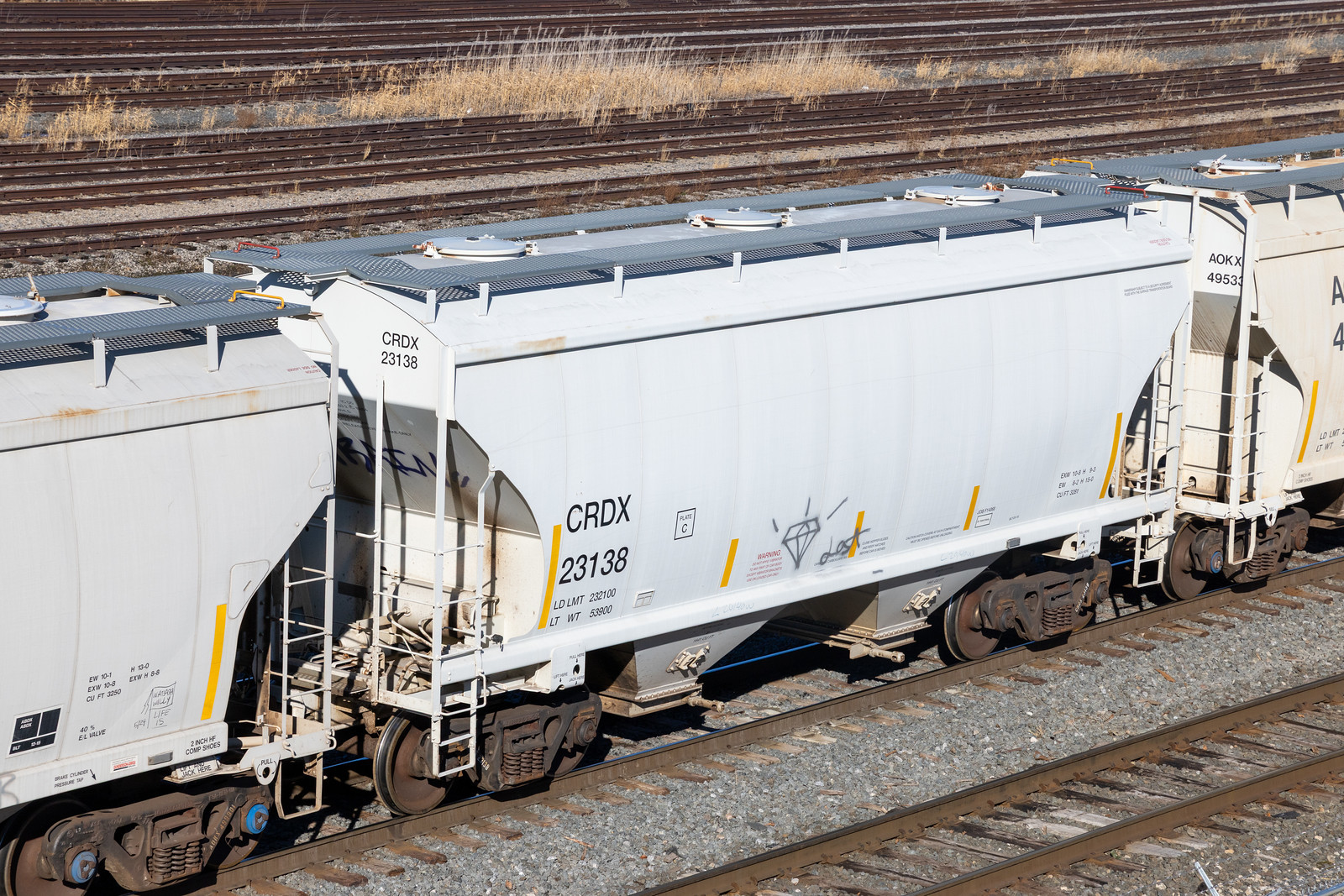 CRDX 23138