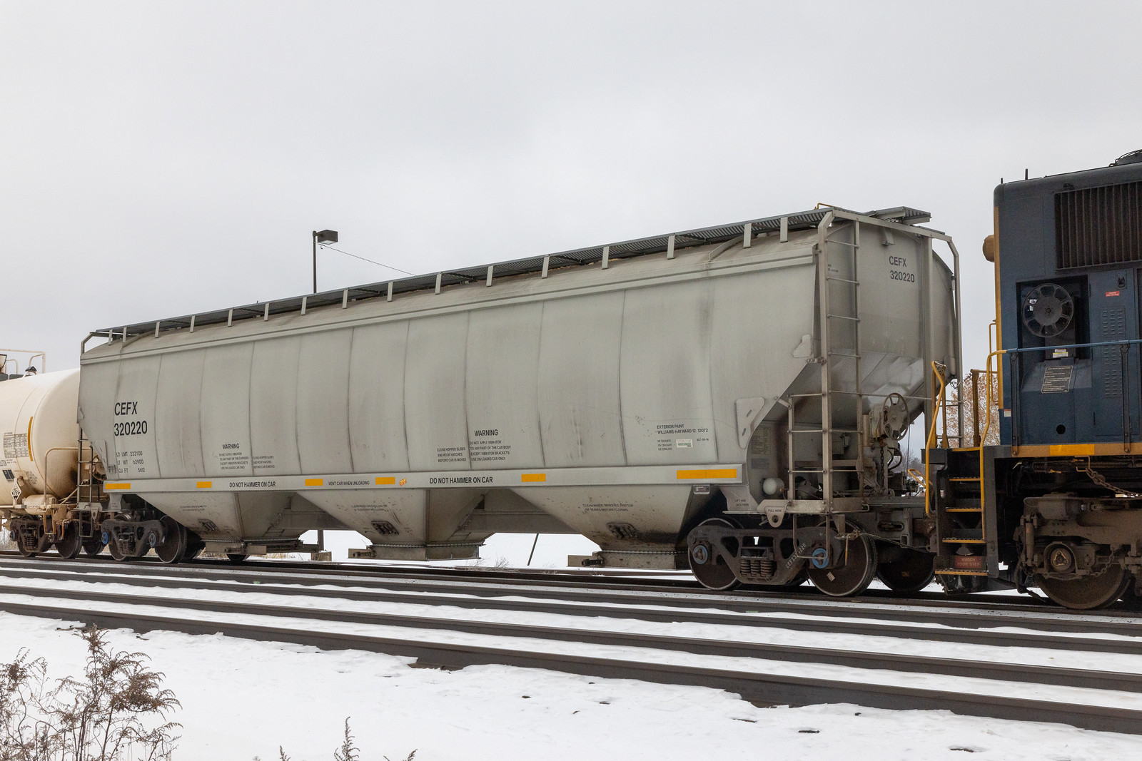 CEFX 320220