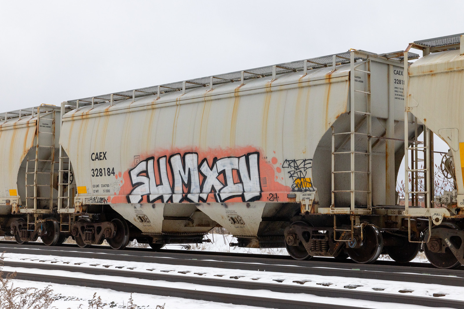 CAEX 328184