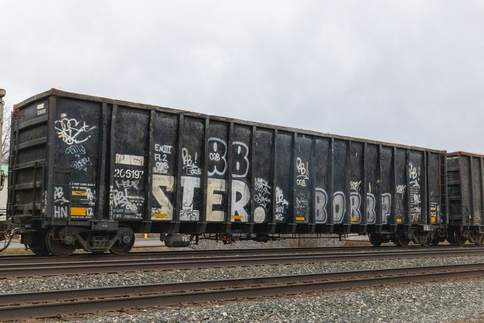 CDEX 206197