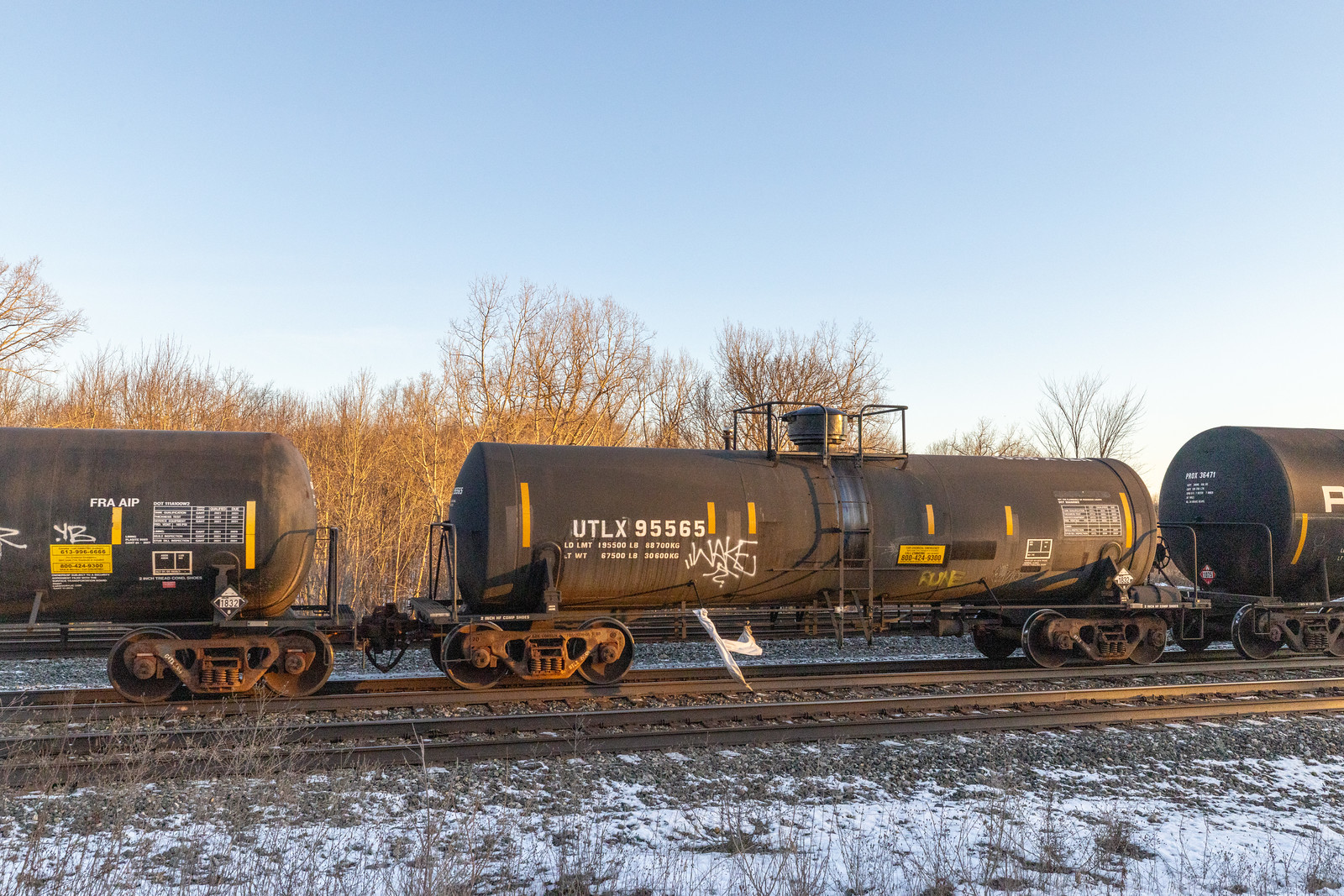 UTLX 95565