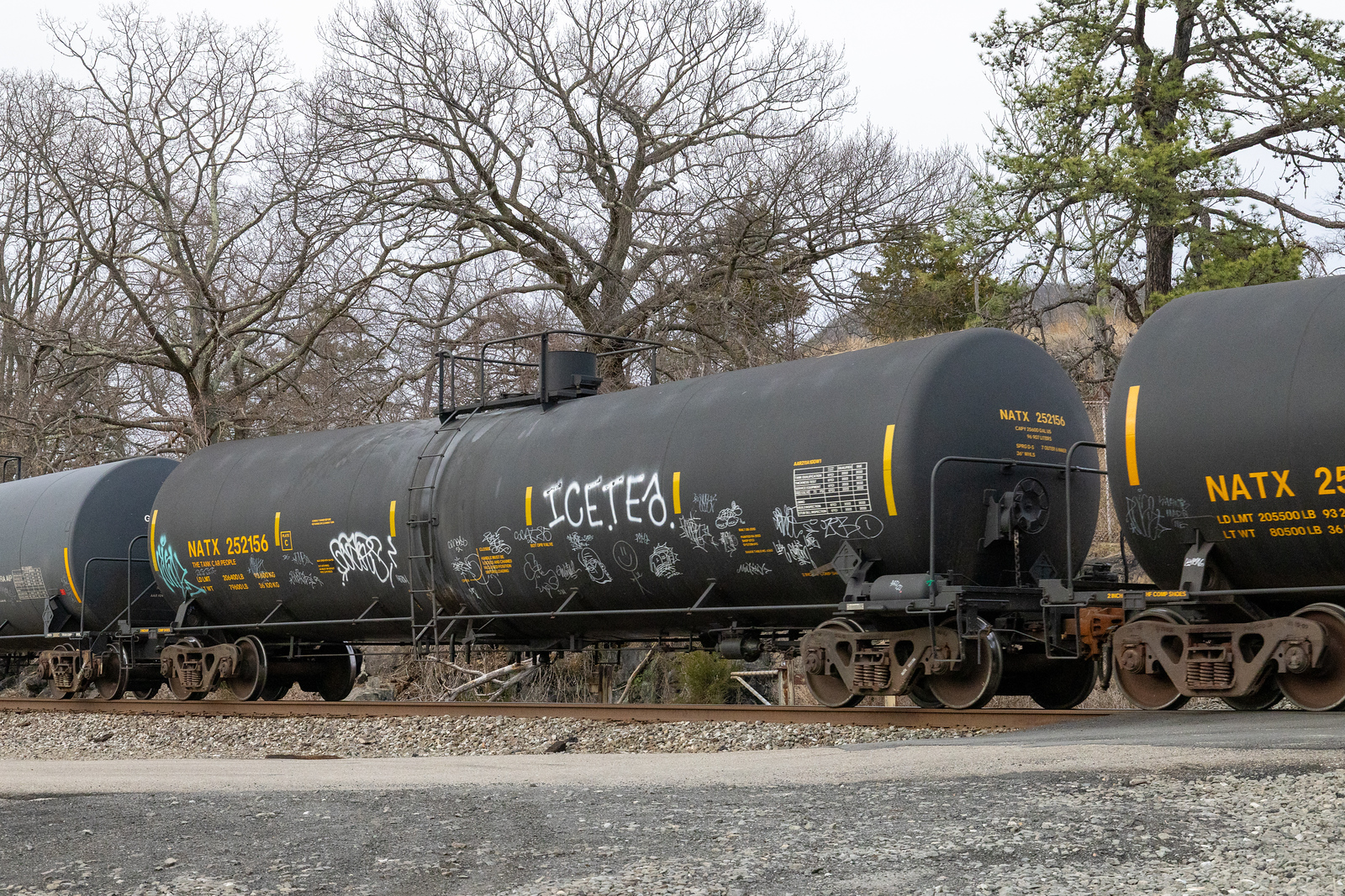 NATX 252156