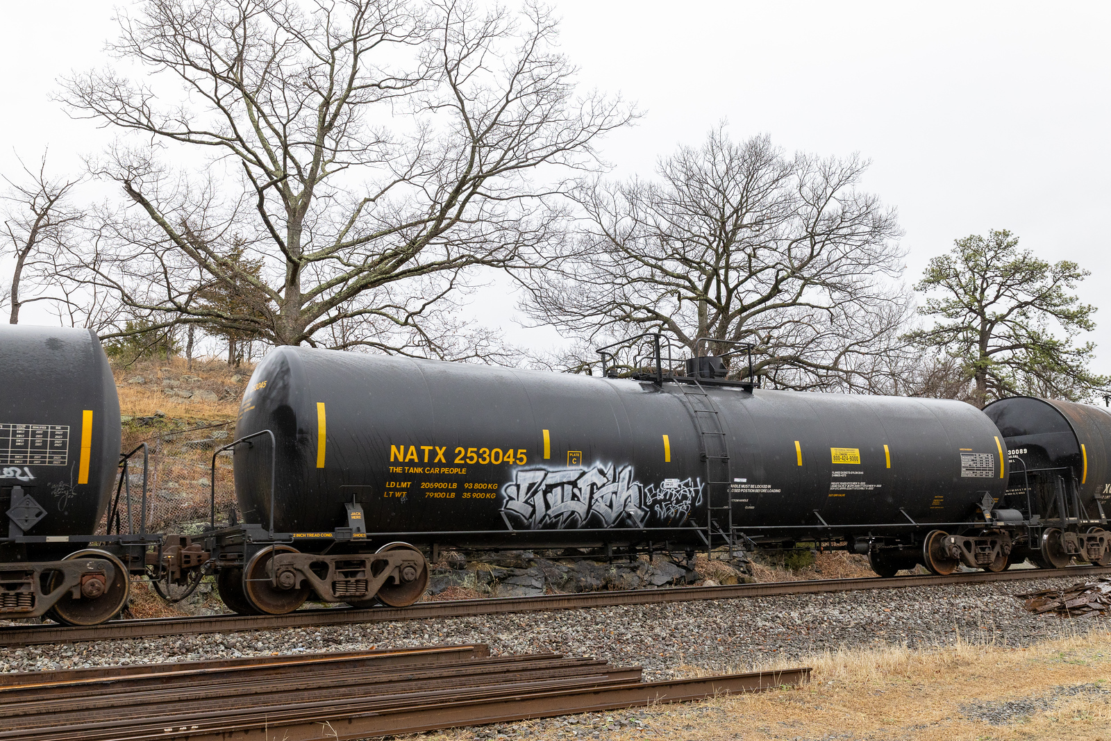 NATX 253045