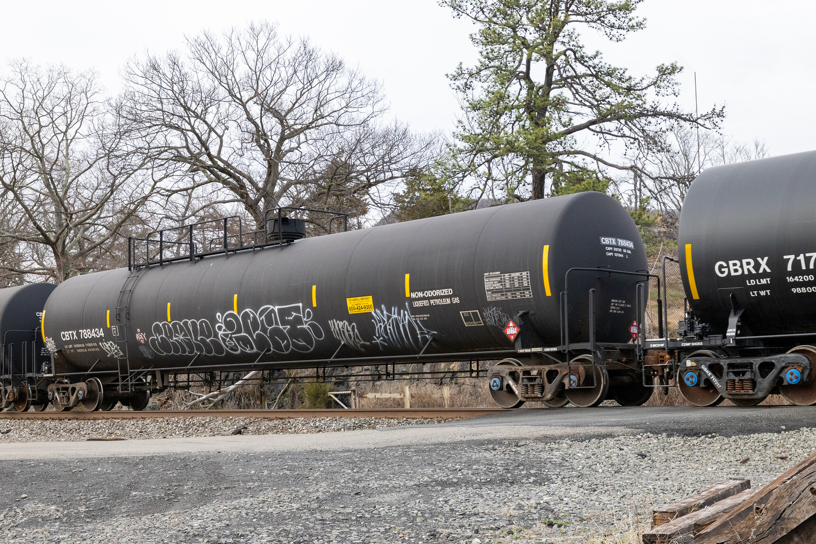 CBTX 788434