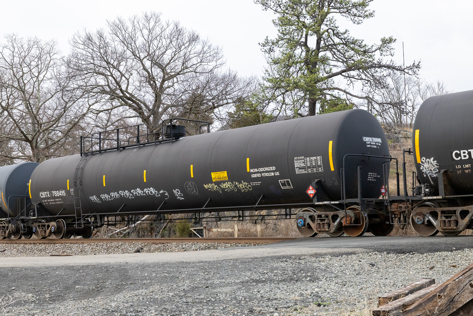 CBTX 788415