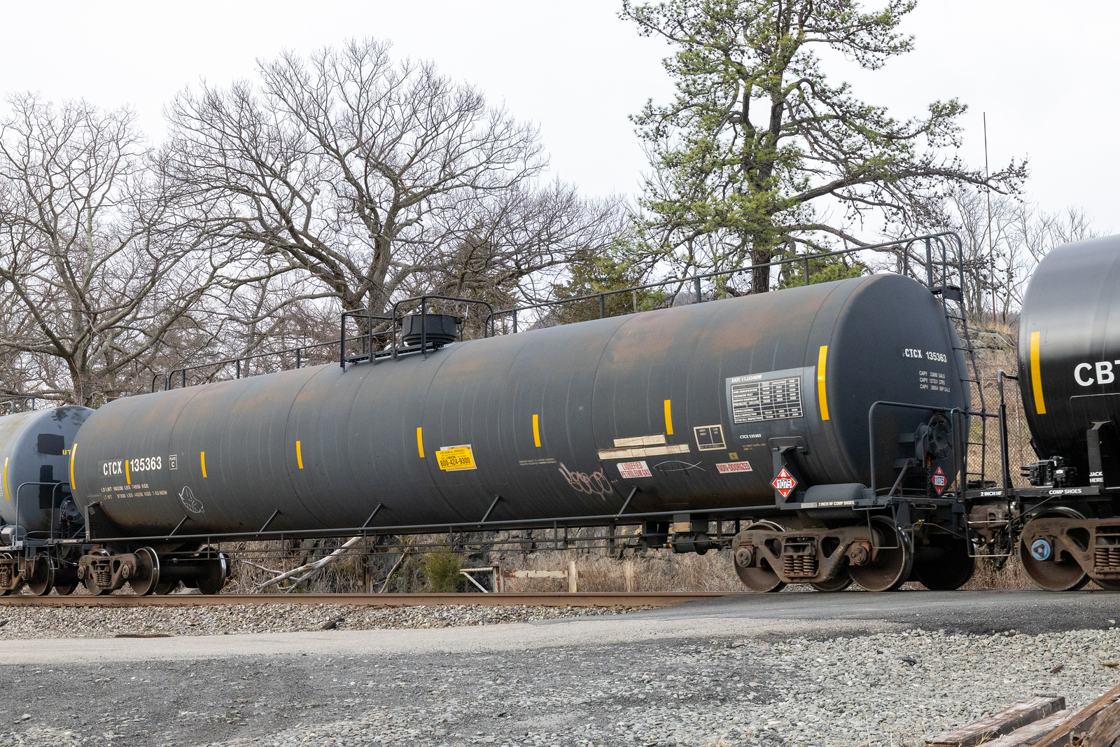 CTCX 135363