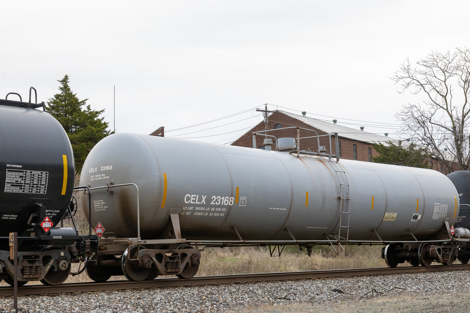 CELX 23168