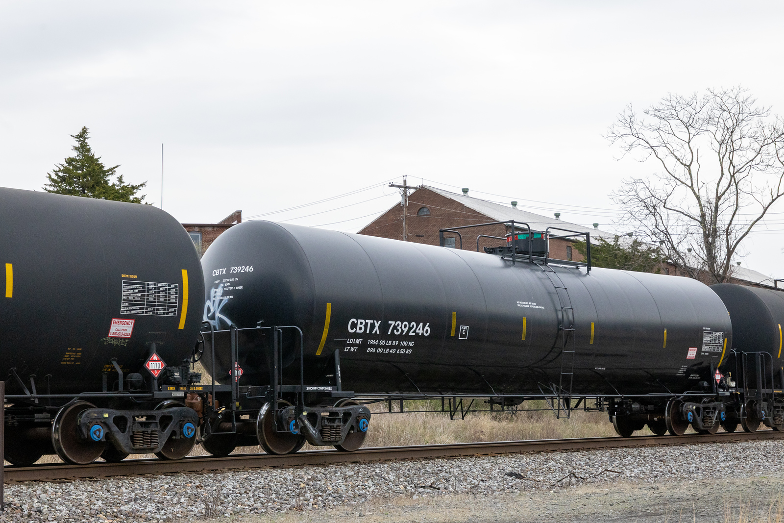 CBTX 739246