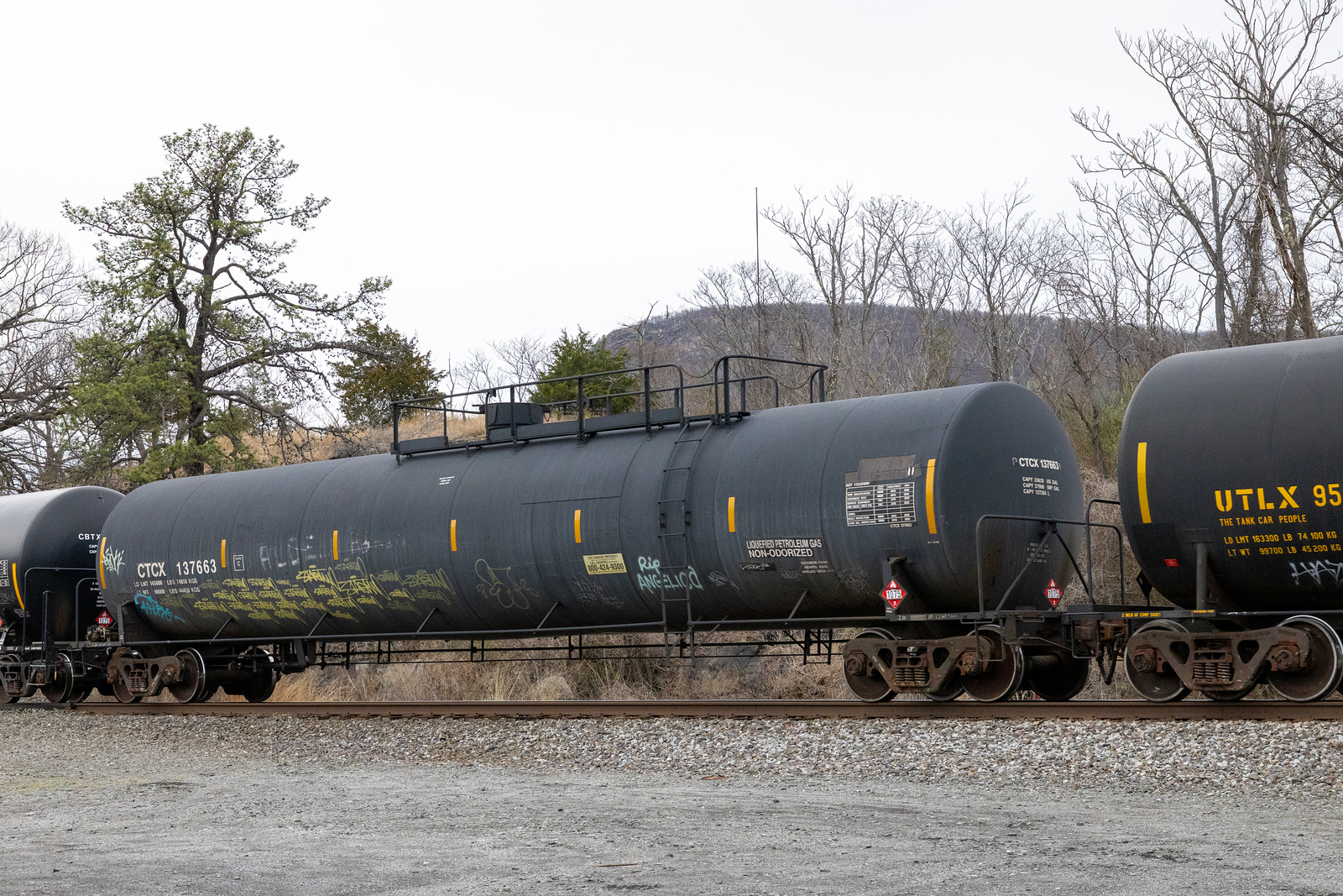 CTCX 137663