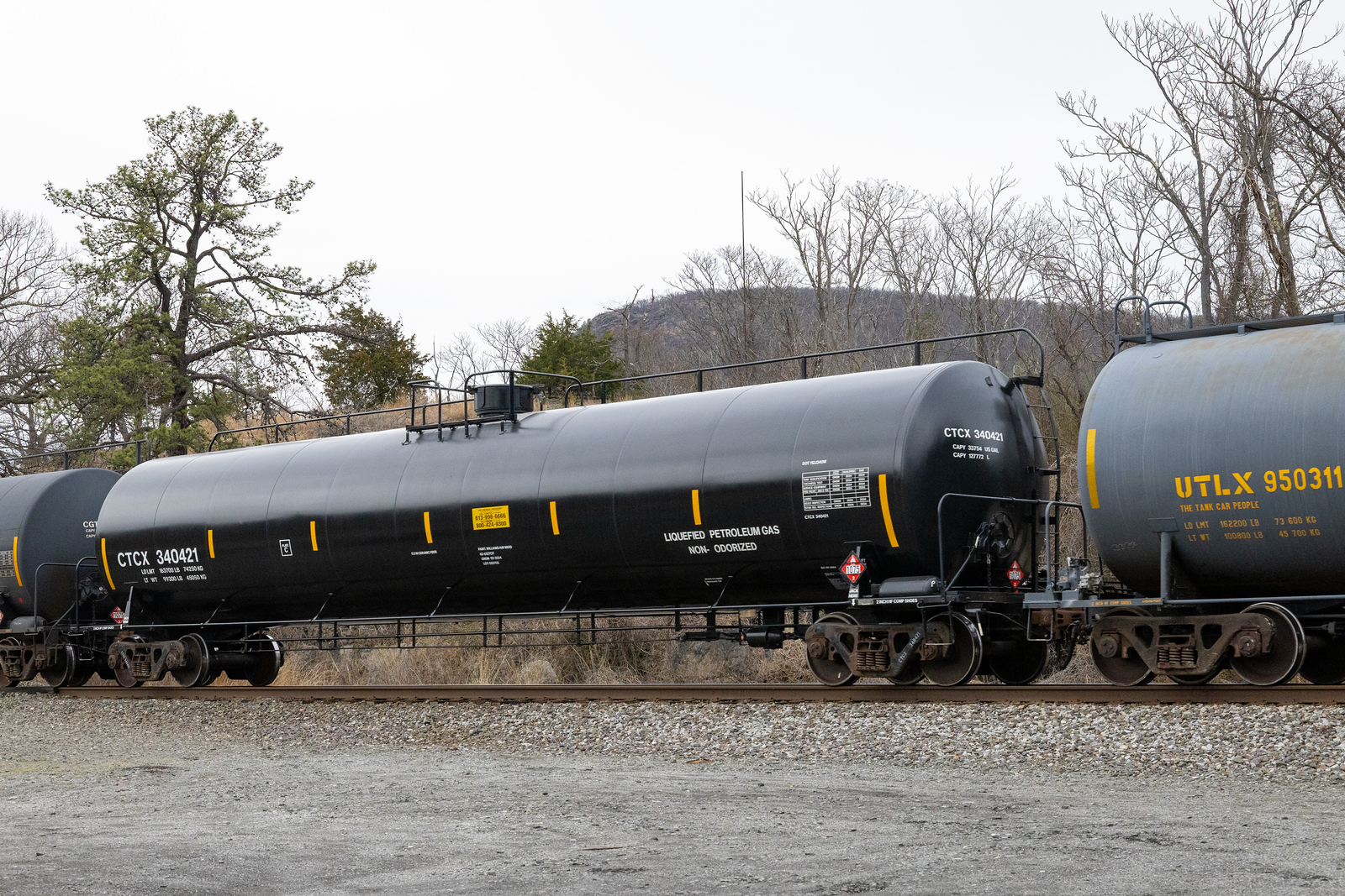 CTCX 340421