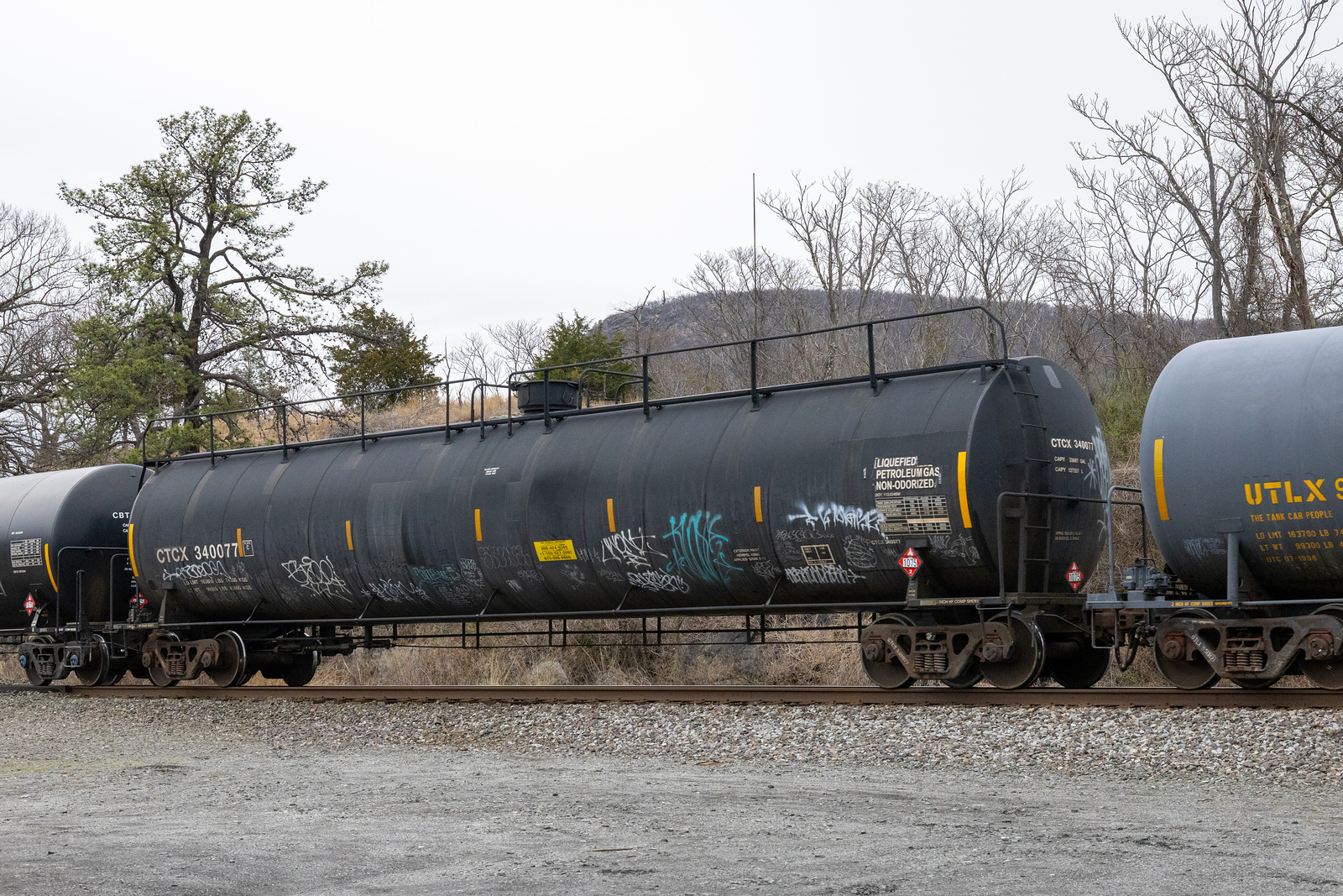 CTCX 340077