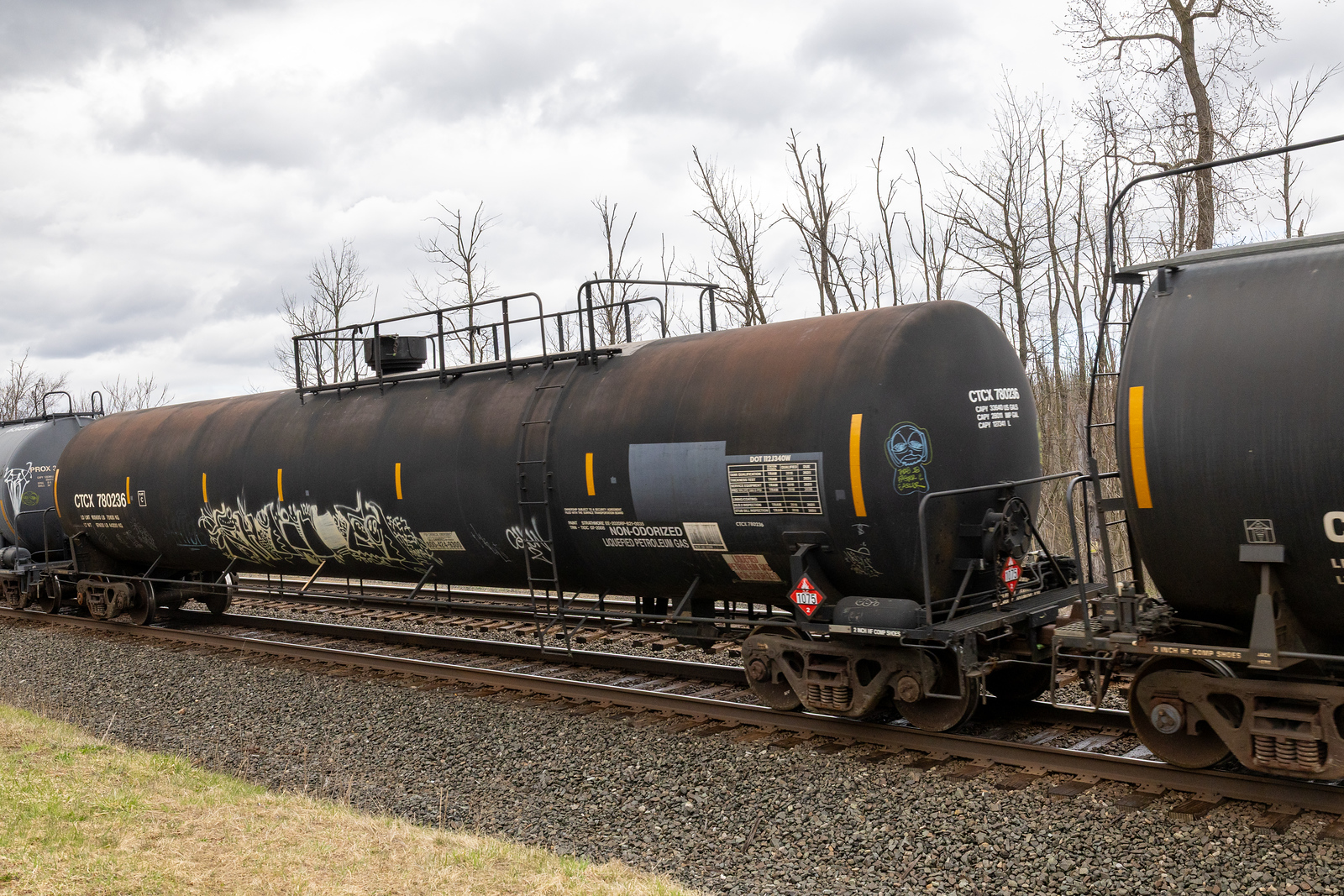 CTCX 780236