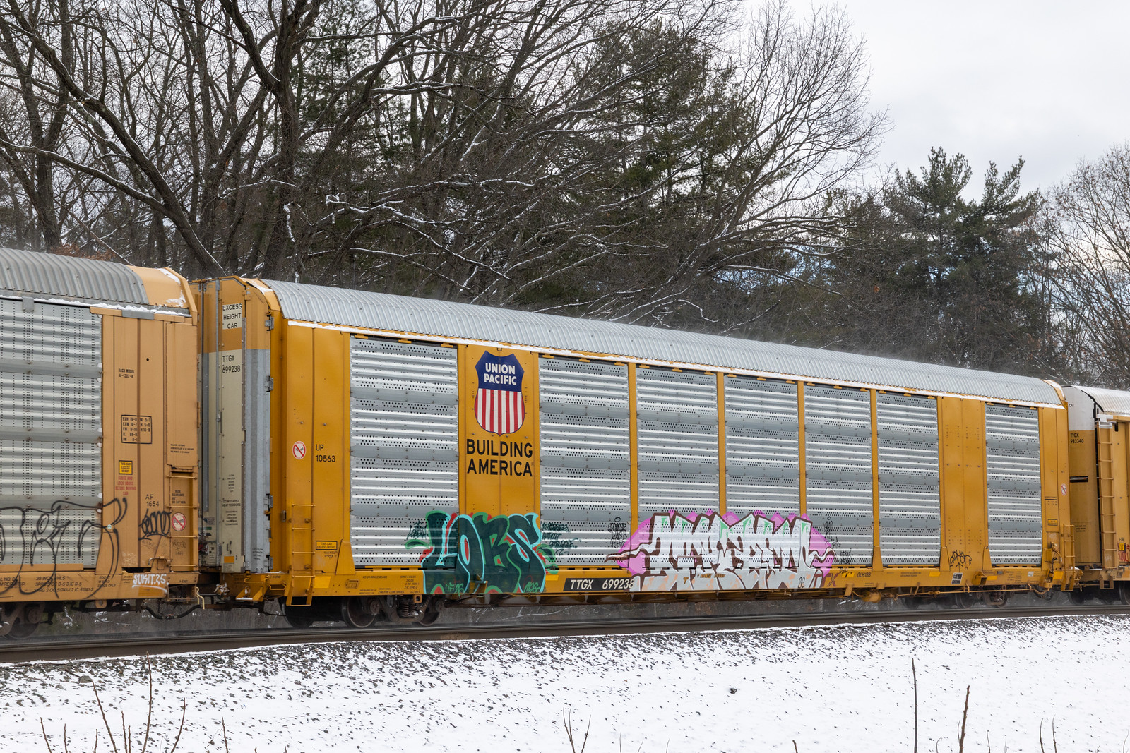 TTGX 699238