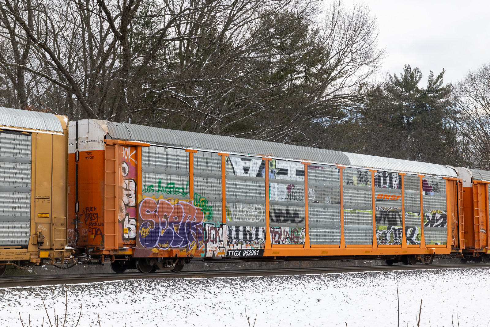 TTGX 952901