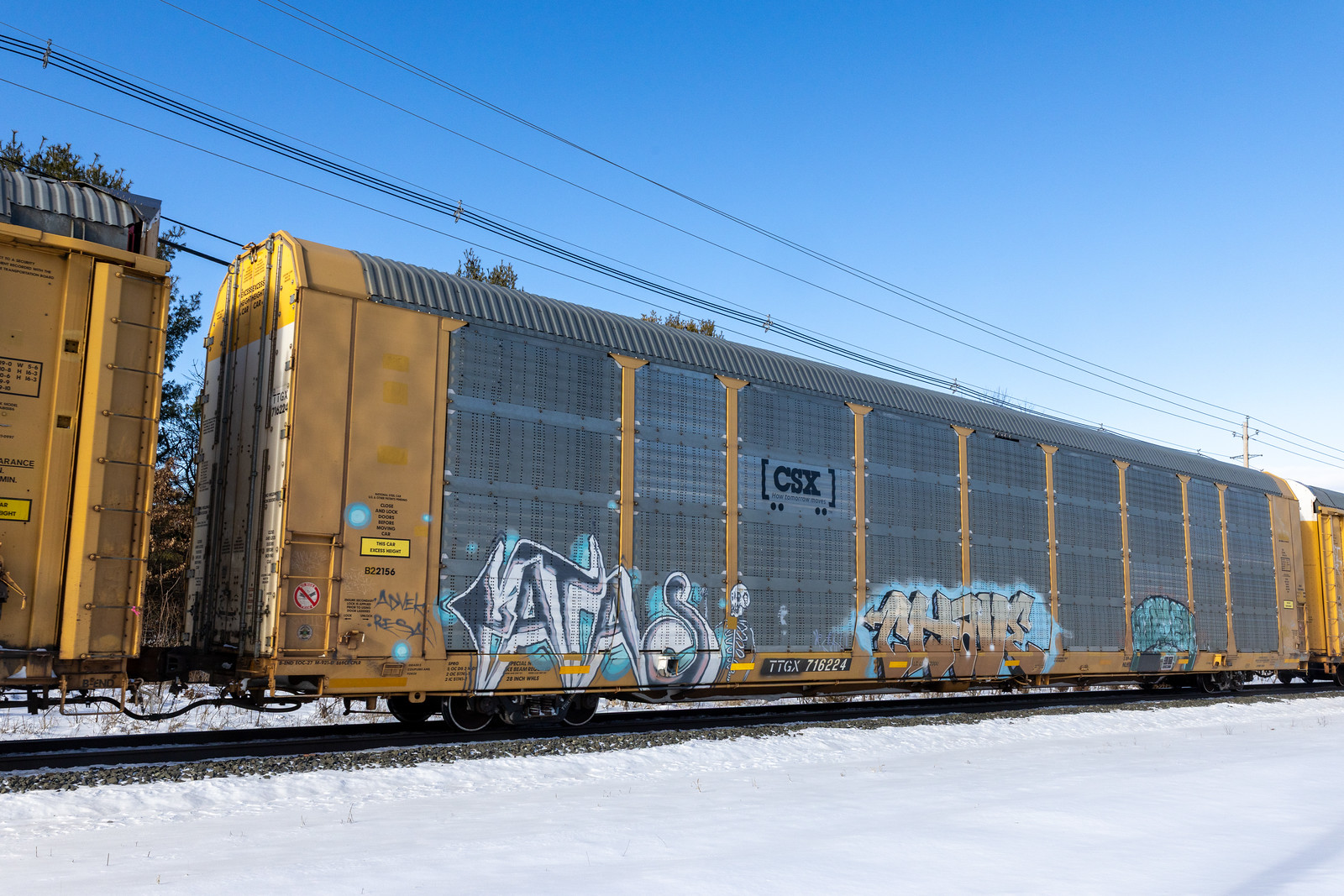 TTGX 716224