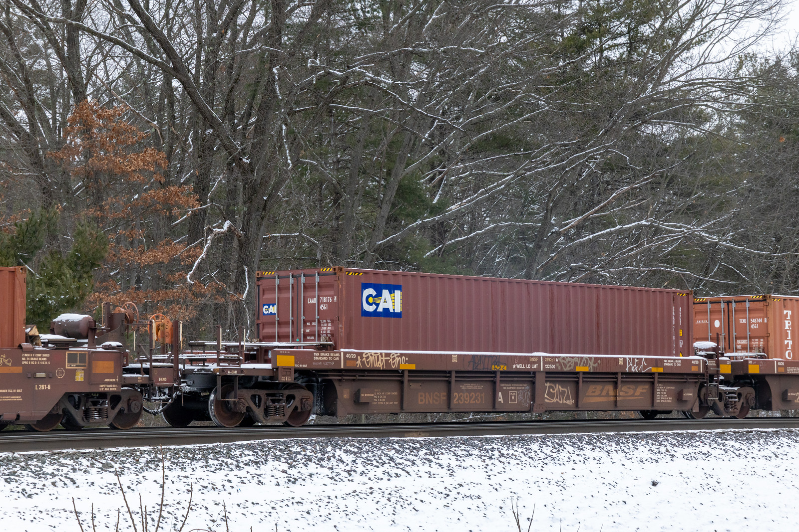 BNSF 239231A