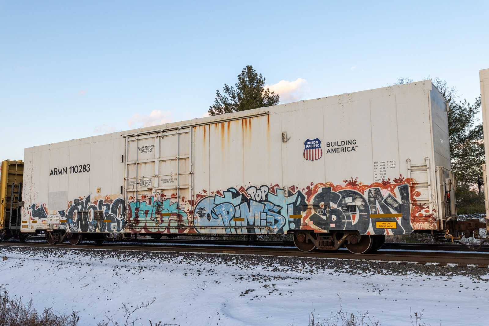 ARMN 110283