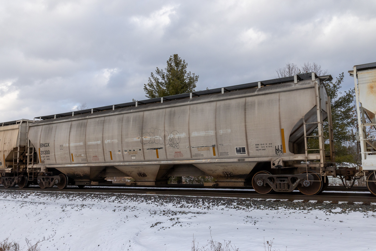 BNGX 31200