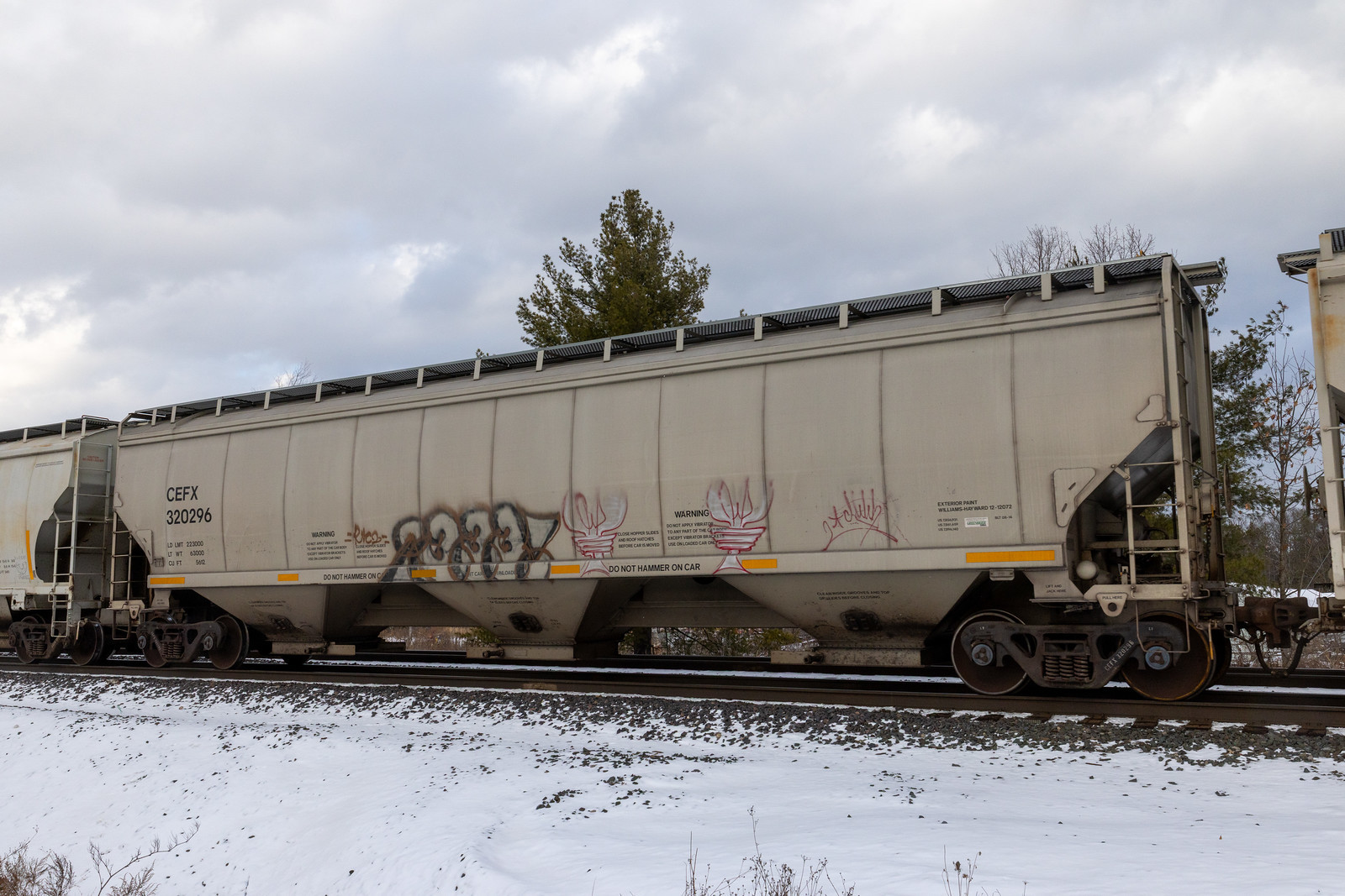 CEFX 320296