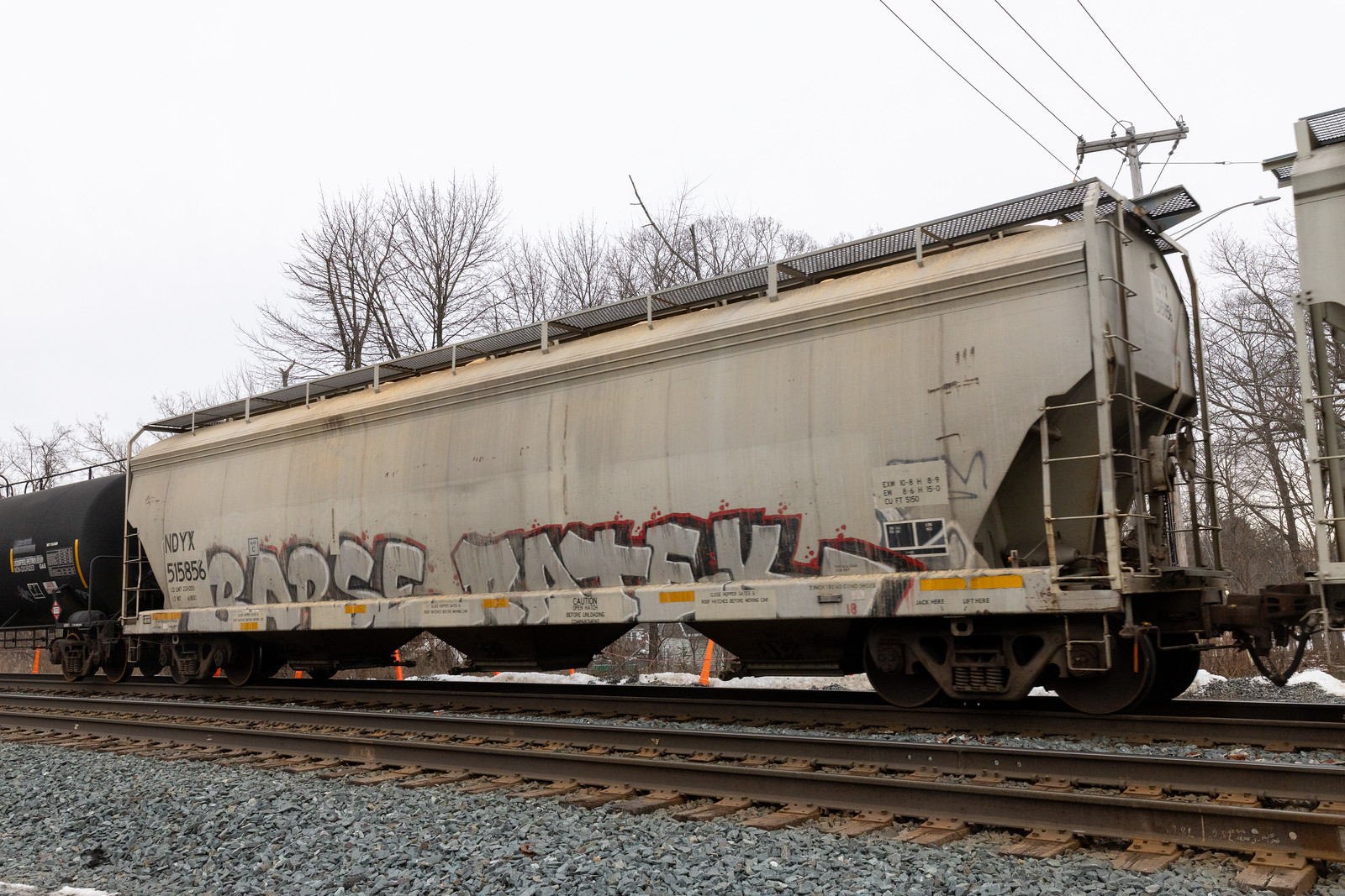 NDYX 515856
