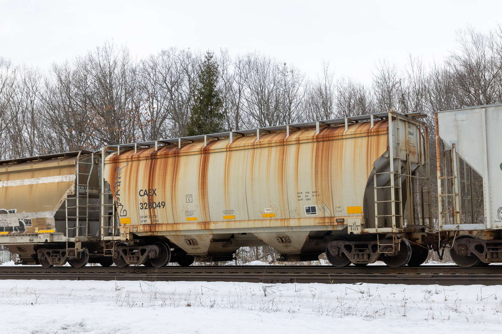 CAEX 328049