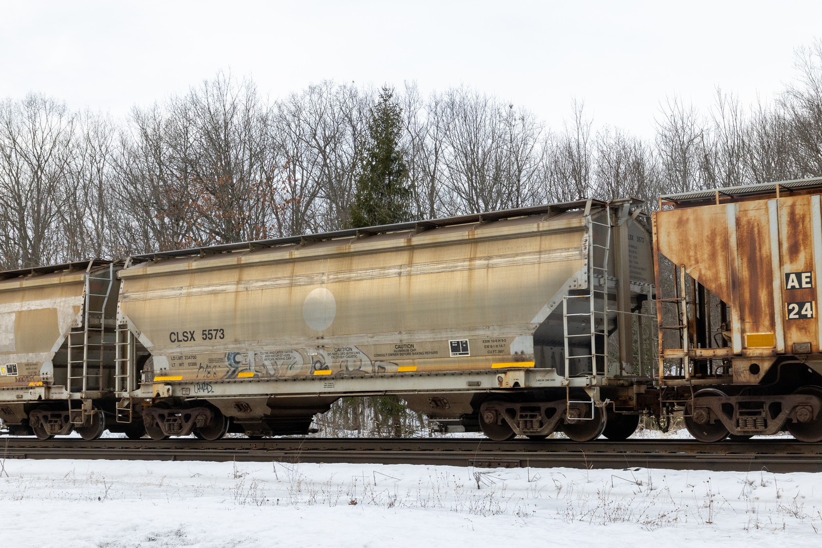 CLSX 5573