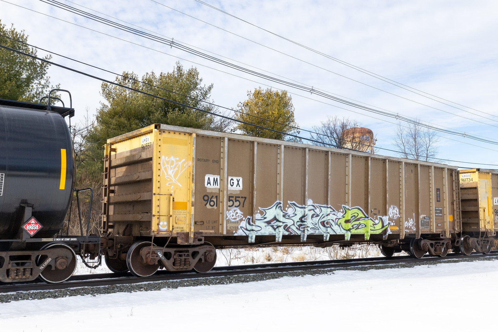 AMGX 961557