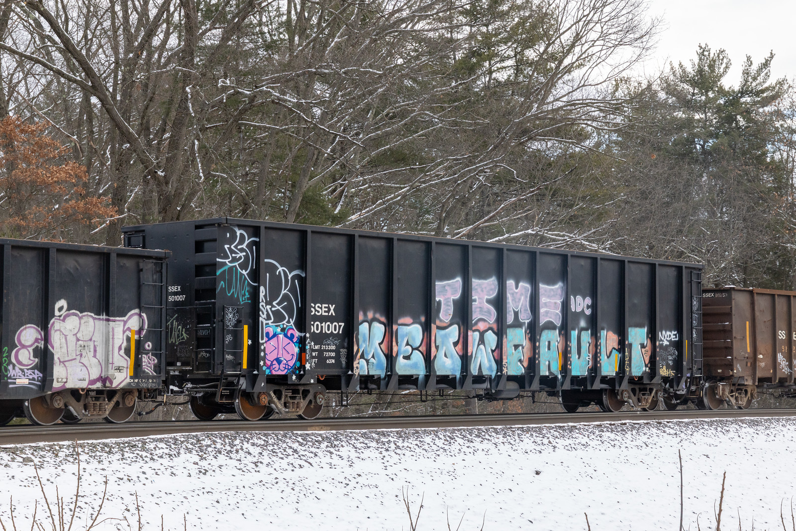 SSEX 501007