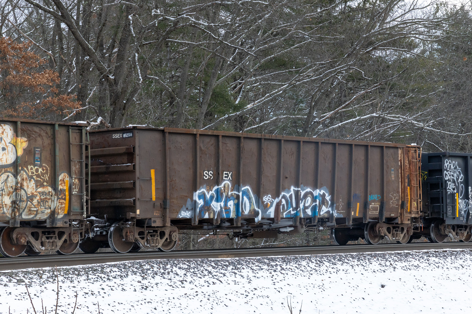 SSEX 81299