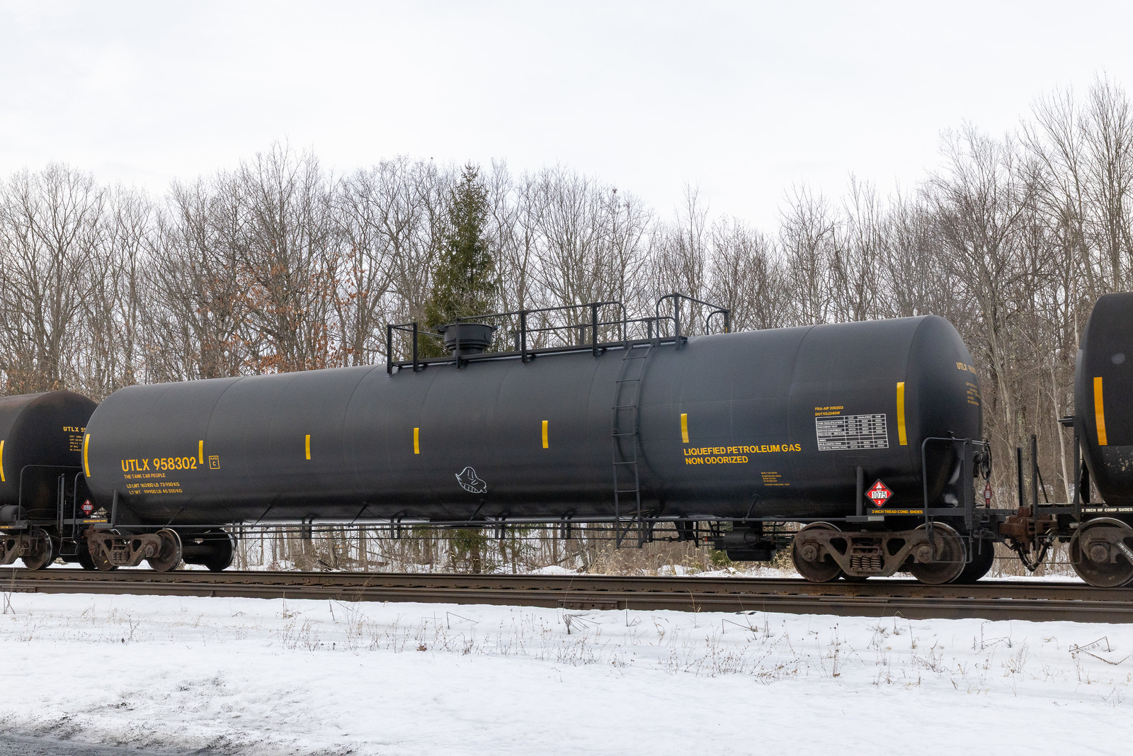 UTLX 958302
