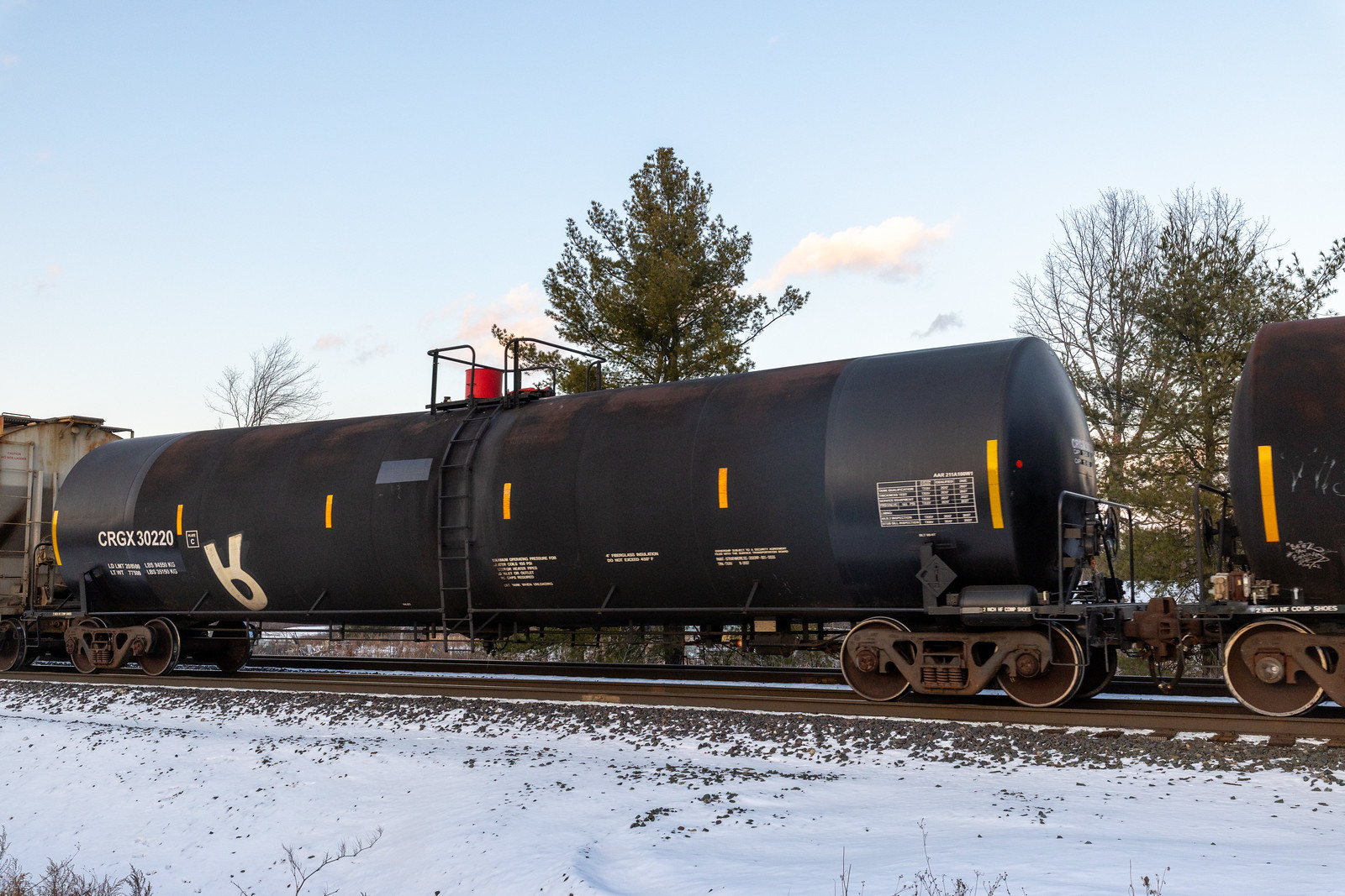 CRGX 30220