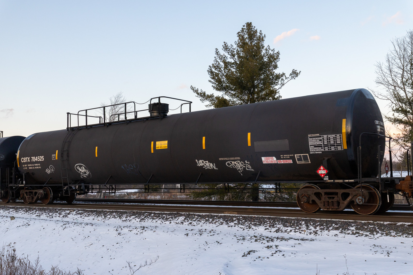 CBTX 784525