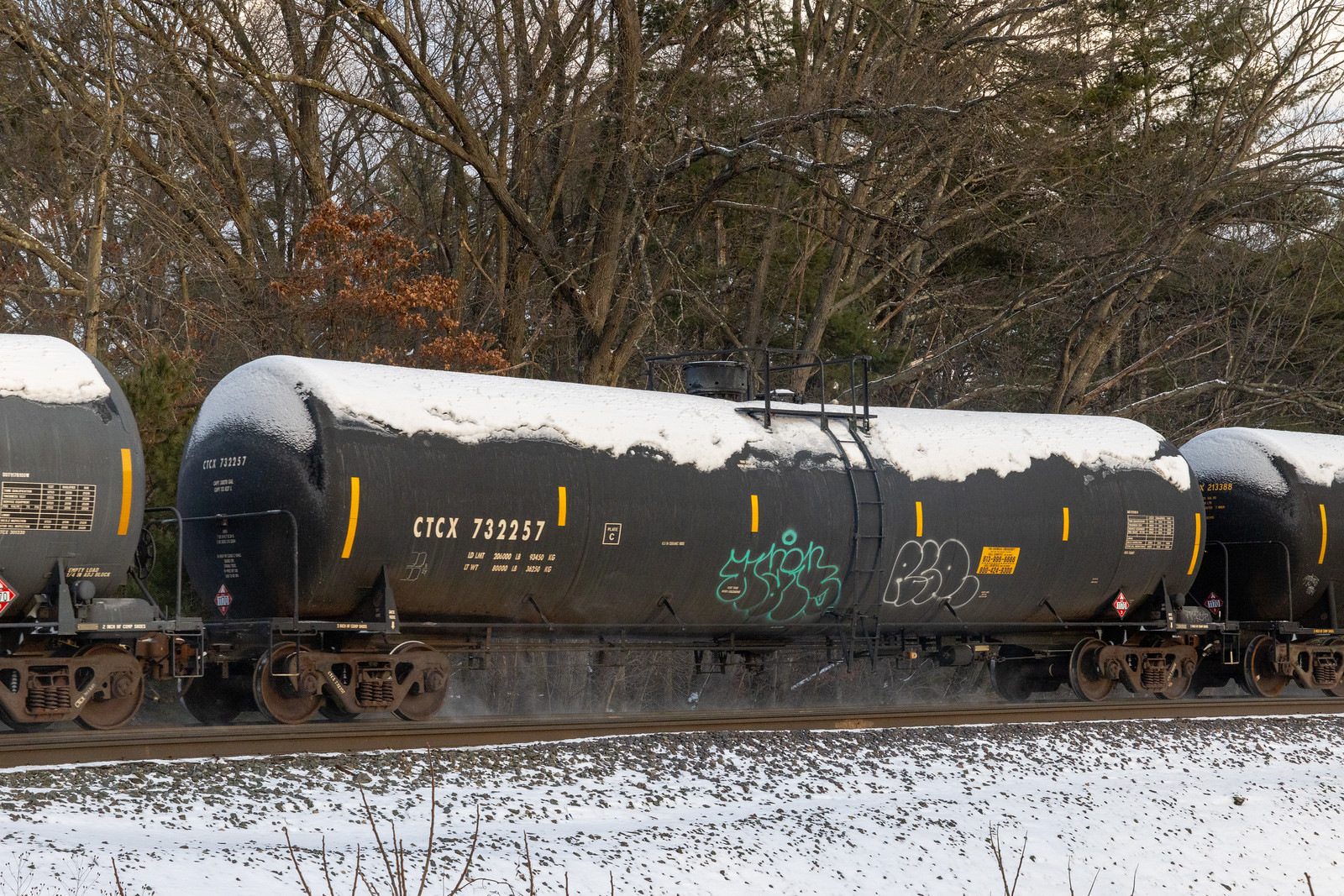CTCX 732257