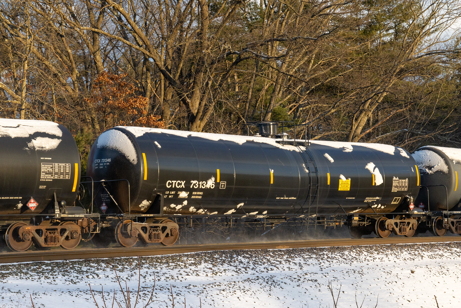CTCX 731346