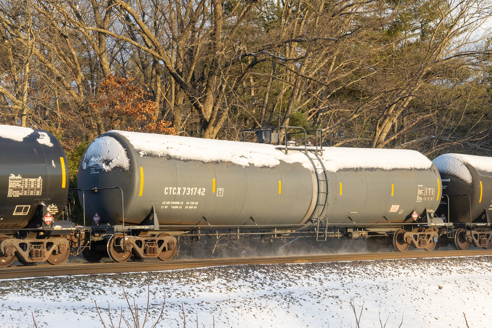 CTCX 731742