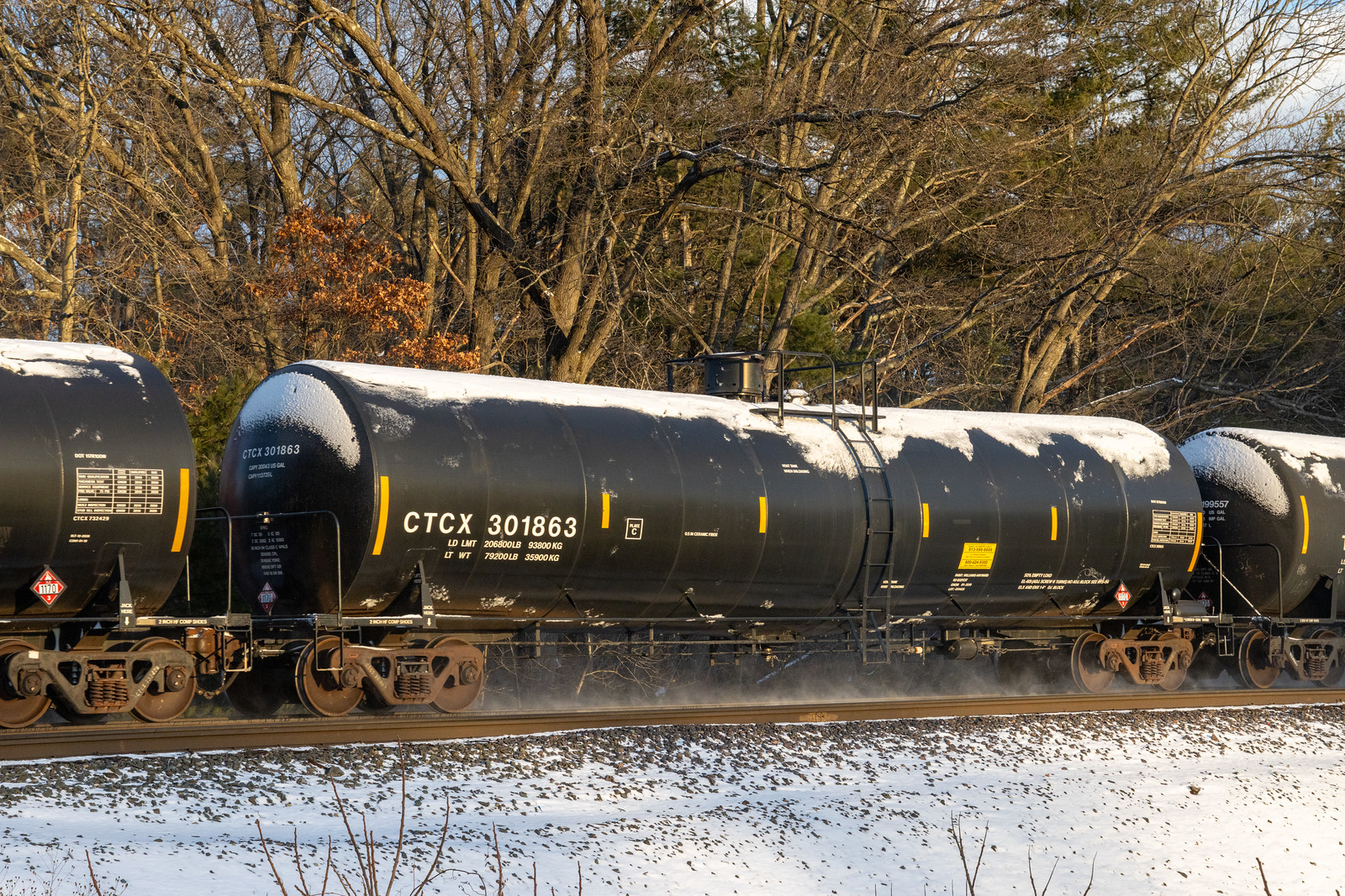 CTCX 301863