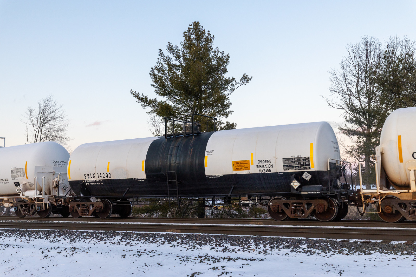 SBLX 14202