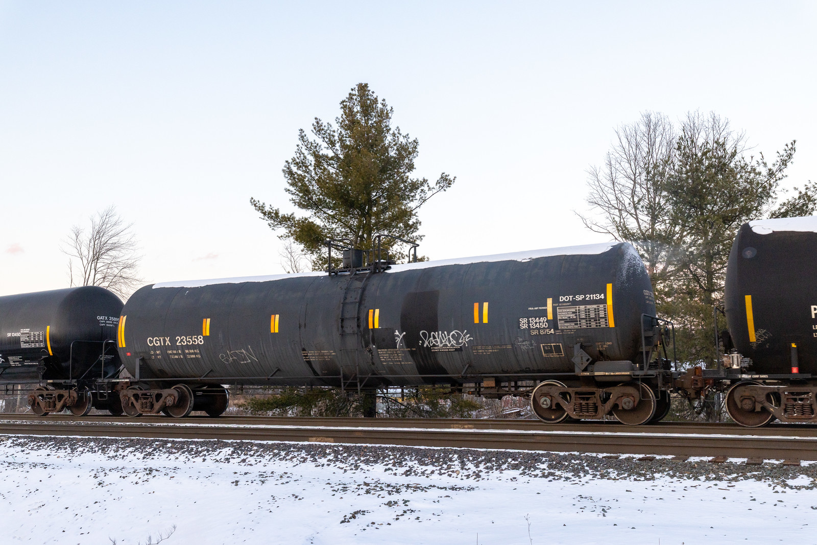 CGTX 23558