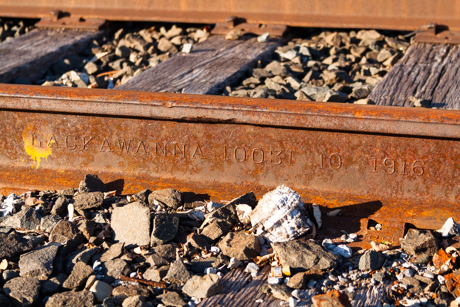 Rail @ Attica, NY