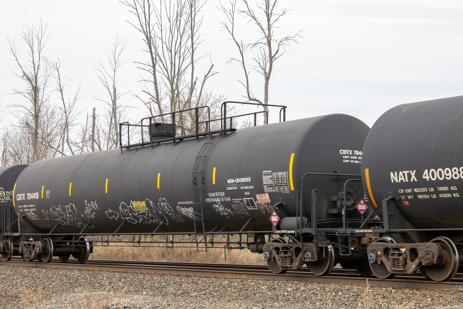 CBTX 784419